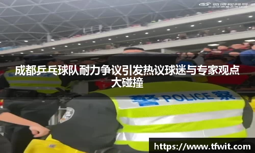 成都乒乓球队耐力争议引发热议球迷与专家观点大碰撞