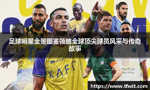 完美体育官网