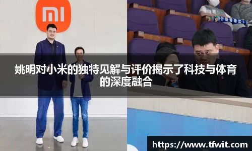 完美体育app