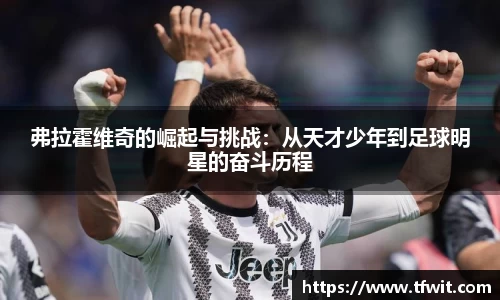 完美体育官网